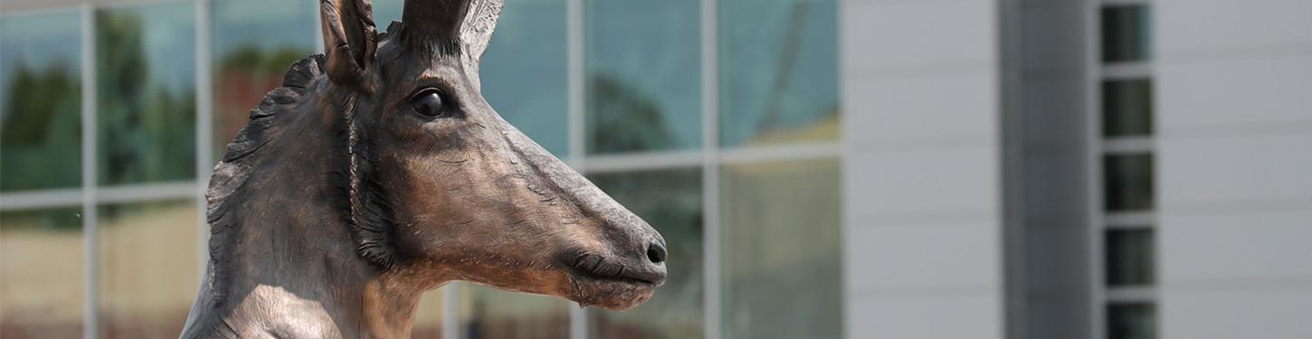 a photo of a bronze statue of a pronghorn on 波胆平台's campus